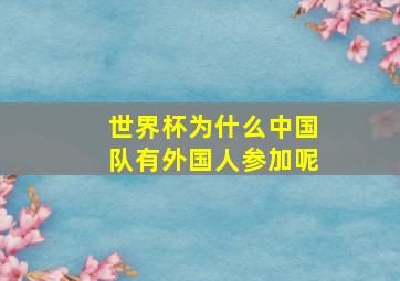 世界杯为什么中国队有外国人参加呢