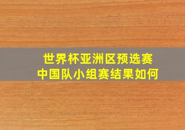 世界杯亚洲区预选赛中国队小组赛结果如何