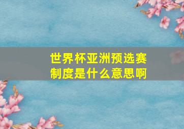 世界杯亚洲预选赛制度是什么意思啊