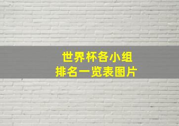 世界杯各小组排名一览表图片