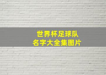 世界杯足球队名字大全集图片