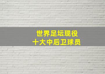 世界足坛现役十大中后卫球员