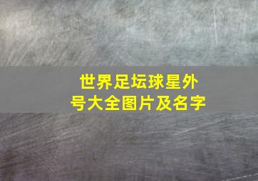 世界足坛球星外号大全图片及名字