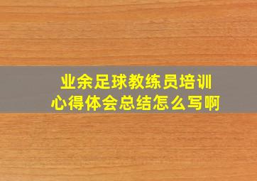 业余足球教练员培训心得体会总结怎么写啊