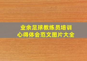 业余足球教练员培训心得体会范文图片大全