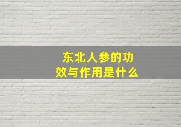 东北人参的功效与作用是什么