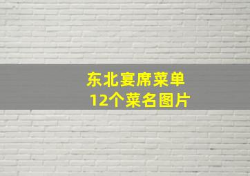 东北宴席菜单12个菜名图片