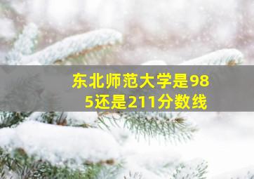 东北师范大学是985还是211分数线