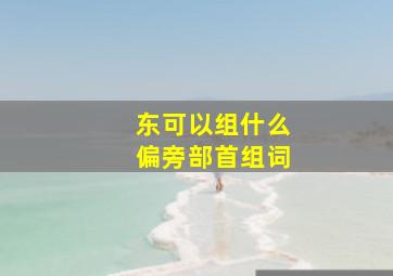 东可以组什么偏旁部首组词