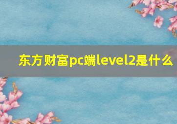 东方财富pc端level2是什么