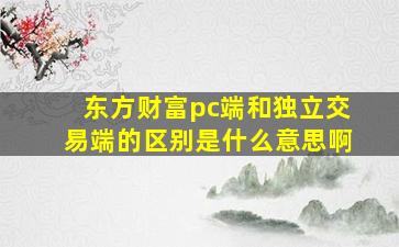 东方财富pc端和独立交易端的区别是什么意思啊