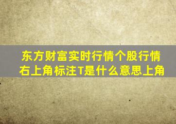 东方财富实时行情个股行情右上角标注T是什么意思上角