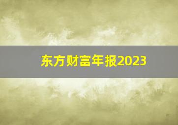 东方财富年报2023