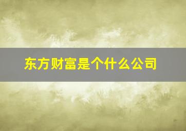 东方财富是个什么公司