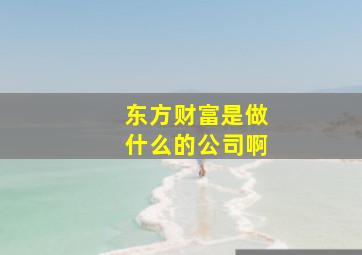 东方财富是做什么的公司啊