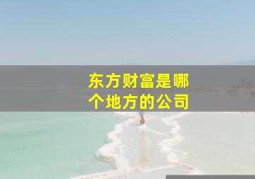 东方财富是哪个地方的公司