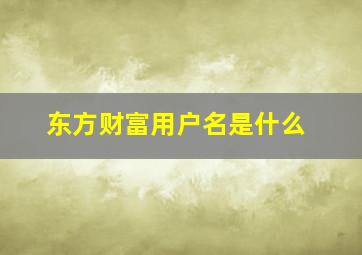 东方财富用户名是什么