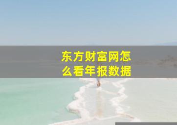 东方财富网怎么看年报数据