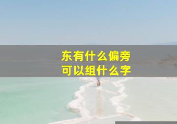 东有什么偏旁可以组什么字