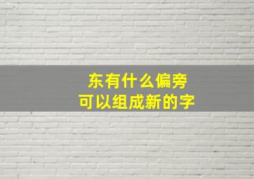 东有什么偏旁可以组成新的字