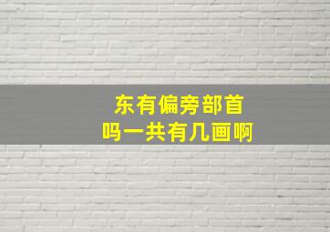 东有偏旁部首吗一共有几画啊