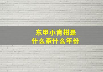 东甲小青柑是什么茶什么年份