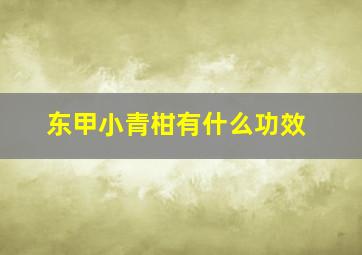 东甲小青柑有什么功效