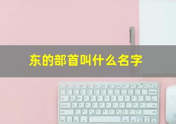 东的部首叫什么名字