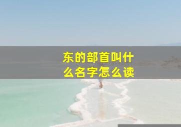 东的部首叫什么名字怎么读