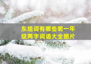 东组词有哪些呢一年级两字词语大全图片