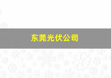 东莞光伏公司