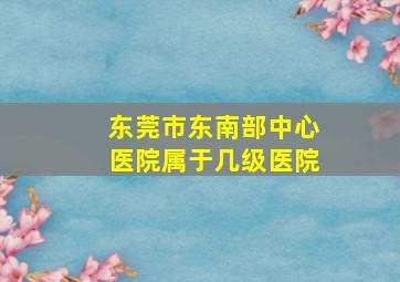 东莞市东南部中心医院属于几级医院