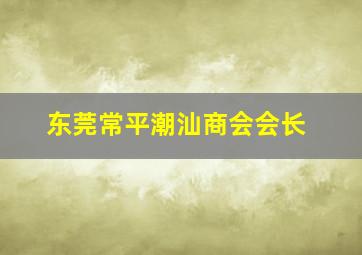 东莞常平潮汕商会会长