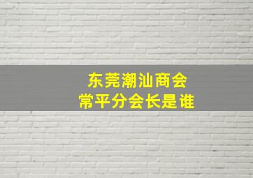 东莞潮汕商会常平分会长是谁