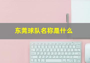 东莞球队名称是什么