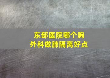 东部医院哪个胸外科做肺隔离好点