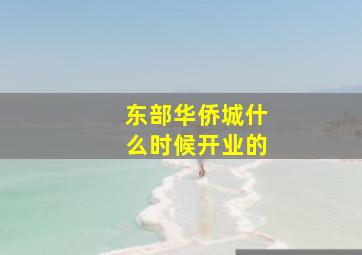 东部华侨城什么时候开业的