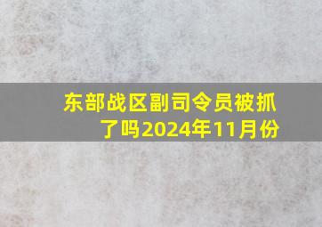 东部战区副司令员被抓了吗2024年11月份