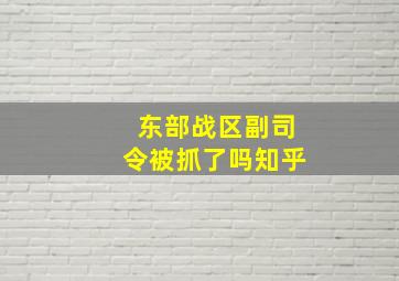 东部战区副司令被抓了吗知乎