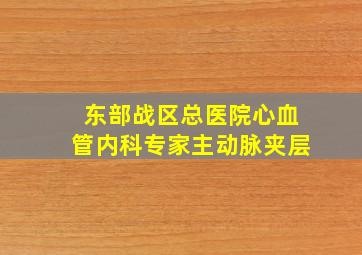 东部战区总医院心血管内科专家主动脉夹层