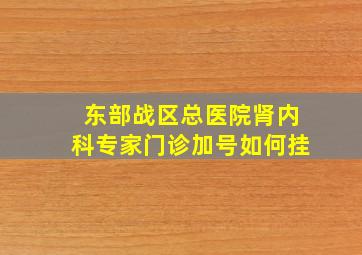 东部战区总医院肾内科专家门诊加号如何挂