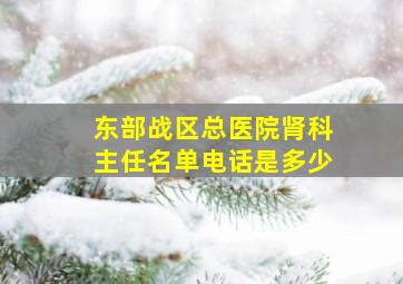 东部战区总医院肾科主任名单电话是多少