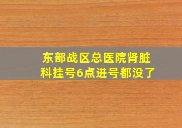 东部战区总医院肾脏科挂号6点进号都没了