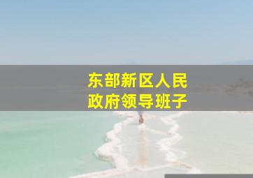 东部新区人民政府领导班子