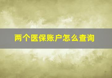 两个医保账户怎么查询