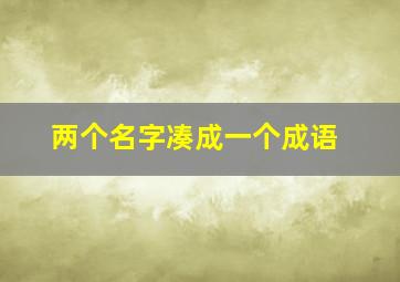 两个名字凑成一个成语