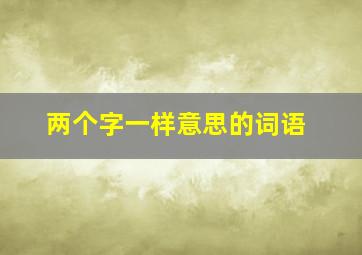 两个字一样意思的词语