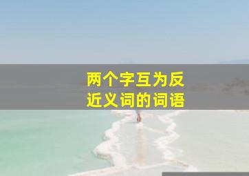 两个字互为反近义词的词语