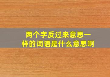 两个字反过来意思一样的词语是什么意思啊