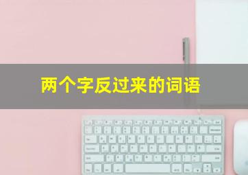 两个字反过来的词语